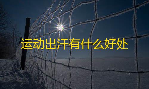 第五人格免费开挂网站运动出汗有什么好处